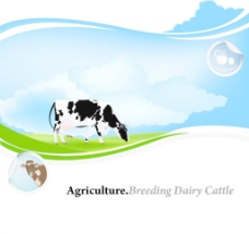 蓝天白云草地奶牛牧场卡通海报矢量图片