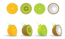橙与奇异果水果矢量图