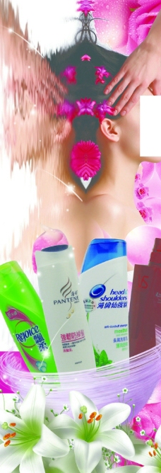 各种洗发水广告图片