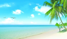沙滩大海大海沙滩椰子树图片