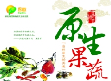 中国风蔬菜包装设计图片