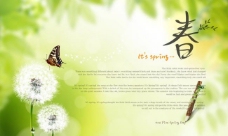 spring春天绿色背景素材图片