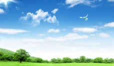树木风景蓝天白云绿草森林图片