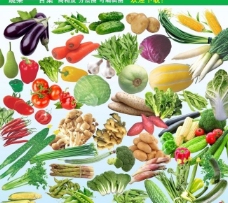 豌豆蔬菜合集天然绿色食品蔬菜图片