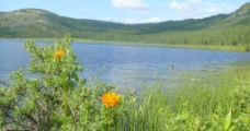 四伯利亚 针叶林湖图片