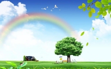 七色彩虹郊外春天风景模板图片