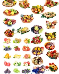 水果大全各种水果和水果篮大全图片