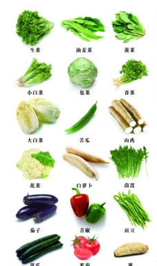 苦瓜蔬菜图片