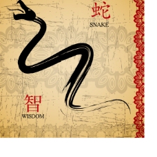中國風12生肖蛇