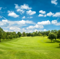蓝天白云草地高尔夫球场图片