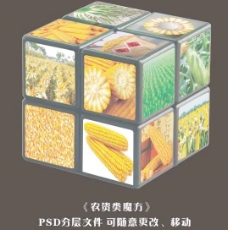 农资玉米玩具魔方图片